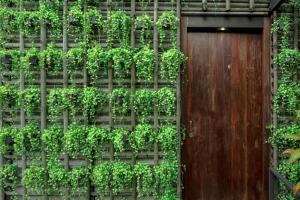 a wooden door with plants on a wall at Bangkok Tree House Bang Kachao in Bangkok