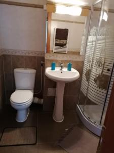 y baño con aseo, lavabo y ducha. en Villa Edera Residence - Gazda Profesionista, en Bucarest