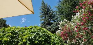 Zahrada ubytování Hotel Gartenresidence Zea Curtis