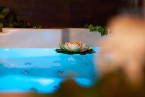 a flower is sitting on top of the water at Casas Rurales Picachico in Laroya
