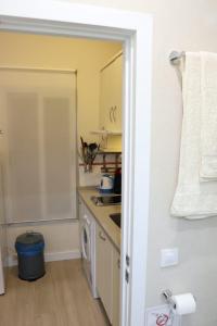 Kuchyň nebo kuchyňský kout v ubytování Apartamento Centro Histórico Sevilla