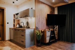 Kuchyňa alebo kuchynka v ubytovaní Apartamenty Oliwia