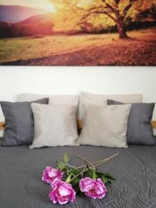 Posezení v ubytování Apartmány U Stříbrných