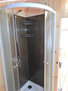 een douche met een glazen deur in de badkamer bij Drago Tours LODGE TENT, Valkanela in Vrsar