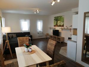 Kuchyň nebo kuchyňský kout v ubytování Apartmány U Stříbrných