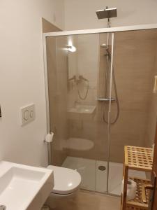 a bathroom with a shower and a toilet and a sink at Pension Residence Sonnenheim in Marlengo