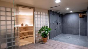 
a bathroom with a shower and a walk in shower at Hotel Indigo Brussels - City, an IHG Hotel in Brussels

