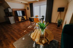 Televízia a/alebo spoločenská miestnosť v ubytovaní Apartamenty Oliwia