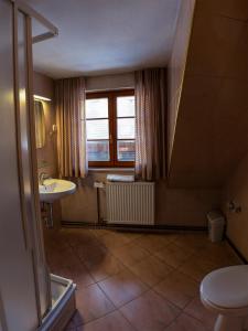 baño con lavabo y aseo y ventana en Digital Detox Chalet Pokljuka en Goreljek