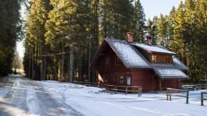 Digital Detox Chalet Pokljuka saat musim dingin