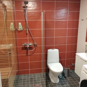 un bagno con wc e doccia di Riverside Lux with 2 bedrooms, Car Park garage and Sauna a Turku Altre 88 foto
