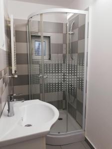 a bathroom with a shower and a sink at Cara Guesthouse 1 in Cluj-Napoca