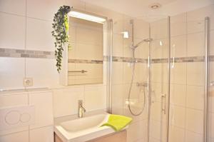 La salle de bains est pourvue d'un lavabo et d'une douche. dans l'établissement PW Luett Drosselhoern 2, à Laboe