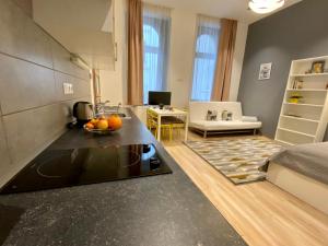 - une cuisine et un salon avec un comptoir dans une pièce dans l'établissement GRACIA APARTMENT HOUSE, à Budapest