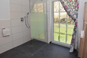 a shower with a glass door in a bathroom at Apartment Weinberg in Ürzig +8 photos