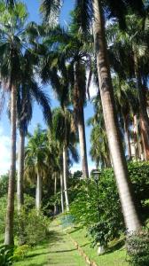 Zahrada ubytování Condominio Girardot Resort