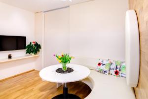 TV a/nebo společenská místnost v ubytování Apartman Medvědín 306 + 14 fotografií