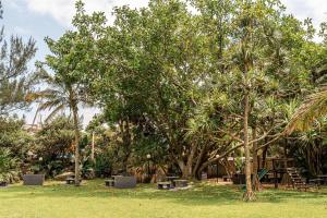 a park with a large tree with benches under it at Amazing Sea View Apartment La Ballito in Ballito