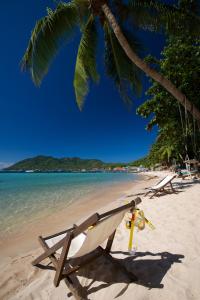 una sedia a sdraio sulla sabbia sotto una palma di Koh Tao Royal Resort a Ko Tao