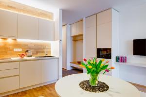 Kuchyň nebo kuchyňský kout v ubytování Apartman Medvědín 306
