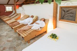 Zaplecze spa i wellness w obiekcie Reitanlage Dagnhof