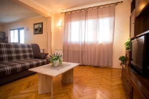 TV a/nebo společenská místnost v ubytování Apartman M&M Žminj