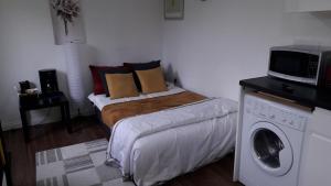 倫敦的住宿－Cosy London holiday Home (Near O2 arena)，一间卧室配有一张床和一台洗衣机