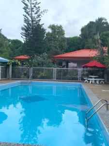 Bazén v ubytování Powers Holiday vacations nebo v jeho okolí