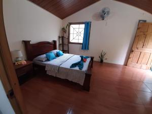1 dormitorio con cama y ventana en Garden of Heliconias Lodge en Drake
