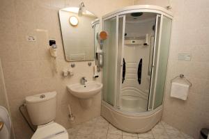 a bathroom with a shower and a toilet and a sink at Hotel Širák in Most +37 photos
