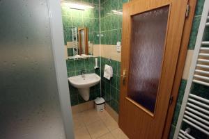Kopalnica v nastanitvi Hotel Širák