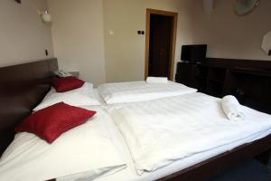 Postelja oz. postelje v sobi nastanitve Hotel Širák