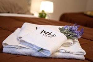 Posteľ alebo postele v izbe v ubytovaní Brio Bed & Breakfast
