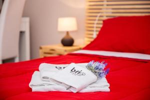 Posteľ alebo postele v izbe v ubytovaní Brio Bed & Breakfast