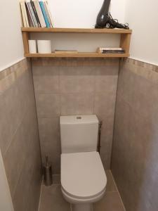 ein kleines Bad mit einem weißen WC und einem Regal in der Unterkunft Brocante Heaven 2 in Aignan