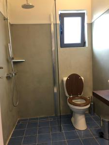 a bathroom with a toilet with a shower stall at Aloni Studios and Apartments in Lassi