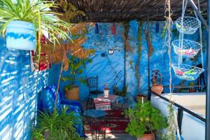 een kamer met een blauwe muur met planten en stoelen bij Dar Najia in Fès