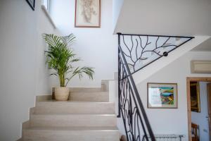 a staircase with a wrought iron railing and a plant at Apartment Starčević in Kampor