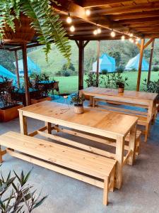 Gallery image of Glamping Lumbre in Salento