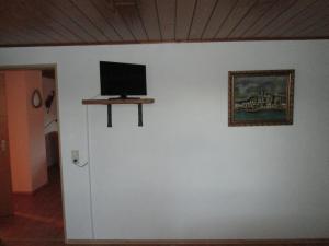 a flat screen tv on a wall with a picture at FeWo Ahornweg in Selb