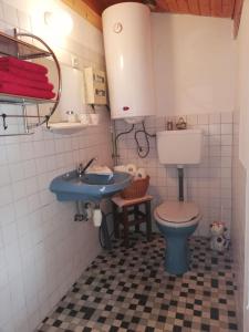 a bathroom with a blue toilet and a sink at Almland Hütte in Pusterwald