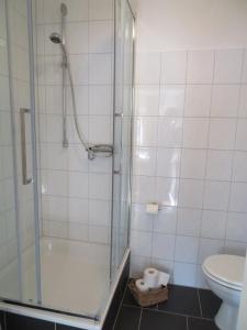 a bathroom with a shower and a toilet at Ferienapartment Hugos in Balve