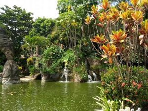 a pond with a waterfall in a garden at Apartamento Mundi - Império Romano - Caldas Novas in Caldas Novas