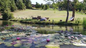 拉波拉諾泰爾梅的住宿－Agriturismo San Bernardino Del Lago，相簿中的一張相片