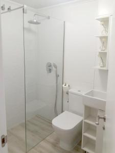 a bathroom with a shower and a toilet and a sink at Apartamento Santa Pola in Santa Pola