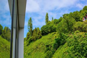 Paesaggio naturale nelle vicinanze dell'hotel