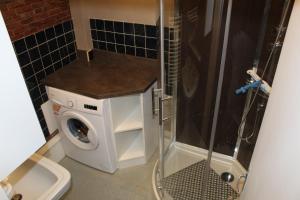 un bagno con doccia e lavatrice di maison des papillons a Tourville-la-Chapelle