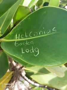 Fotografie z fotogalerie ubytování Garden of Heliconias Lodge v destinaci Drake