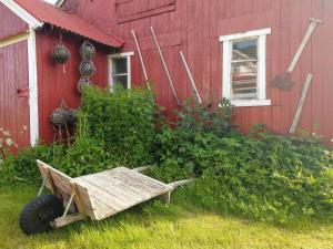 Une brouette assise dans l'herbe à côté d'un bâtiment rouge dans l'établissement Borghildstua Feriehus, à Melbu