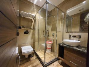 阿姆利则Hotel Makhan Residency的带淋浴、马桶和水槽的浴室